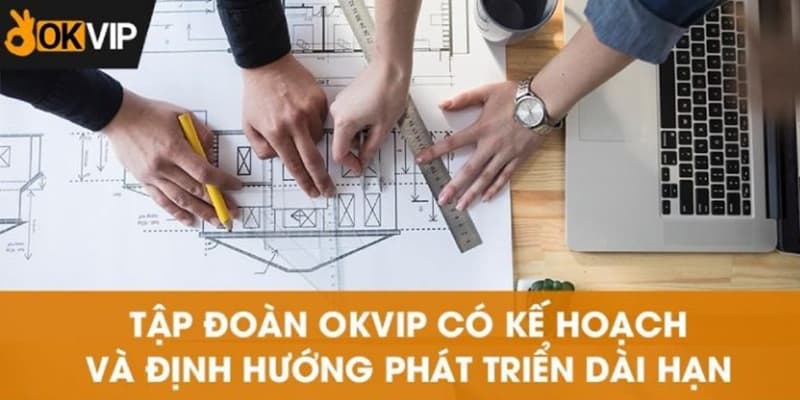 Nền tảng live bóng đá trực tiếp 